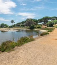 Playa Quinta Do Lago