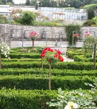 Rosengarten