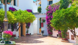Globales Pueblo Andaluz