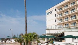 AluaSoul Palma -  Adults Only