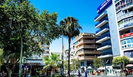 Hotel Monarque El Rodeo