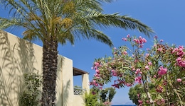 Kipriotis Maris Suites - All Inclusive