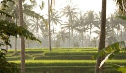 Kamandalu Ubud