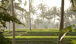 Kamandalu Ubud