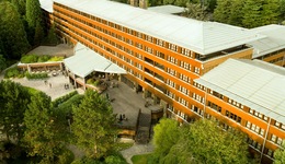 Disney Sequoia Lodge
