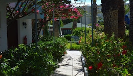 Blue Horizon Hotel