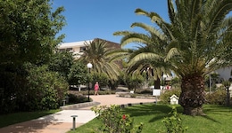 Los Zocos Impressive Lanzarote