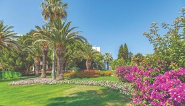Sunrise Resort Hotel - All Inclusive