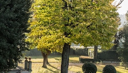 Villa Olmi Firenze