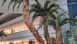 Saphir Resort & Spa