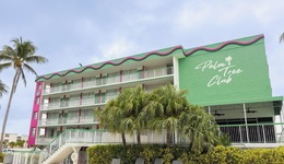 Palm Tree Club Miami