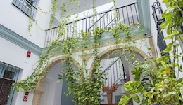 Apartamentos Suites Santa Cruz