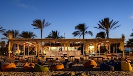 Desert Rose