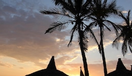 Luna Palace Hotel And Suites