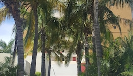 Suites Las Flores Beach Mazatlan