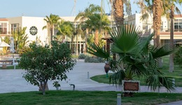 Doubletree By Hilton Sharm El Sheikh - Sharm Bay