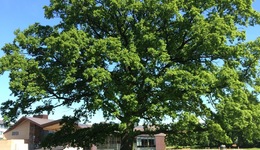 Glostrup Park Hotel