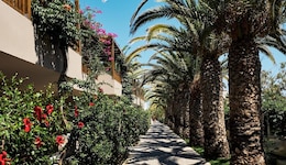 Stella Village Seaside Hotel - All Inclusive