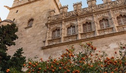 The Valentia Corretgería