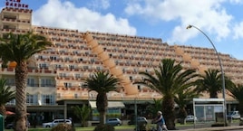 Apartamentos Palm Garden By Livvo