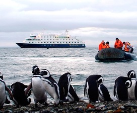 Cruceros de expedición