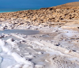 Los cruceros más buscados para visitar Jordania