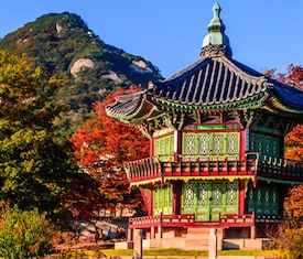 Los cruceros más buscados para visitar Corea Del Sur