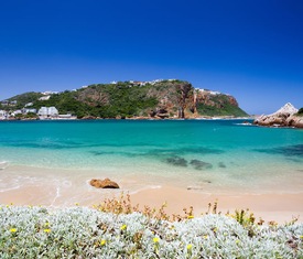 Ofertas de cruceros en a Mossel Bay (Sudáfrica)