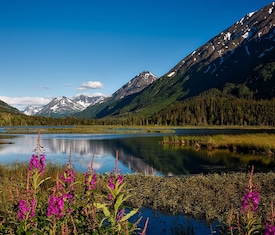 Ofertas de cruceros en a Valdez (Alaska)