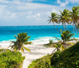Ofertas de cruceros en a Bridgetown (Barbados)
