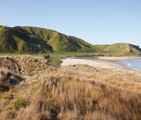 Ofertas de cruceros en a Gisborne (Nueva Zelanda)