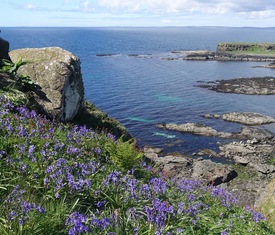 Ofertas de cruceros en a Lunga Isla (Escocia)
