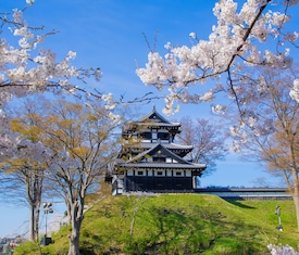 Ofertas de cruceros en a Niigata (Japón)