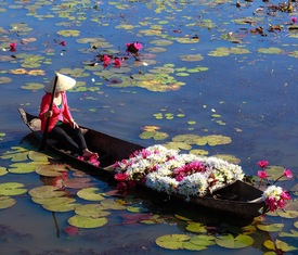 Ofertas de cruceros en a Sa Dec (Vietnam)