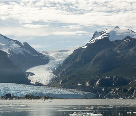Ofertas de cruceros en a Glaciar Amalia (Chile)