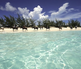 Ofertas de cruceros en a Half Moon Cay (Bahamas)