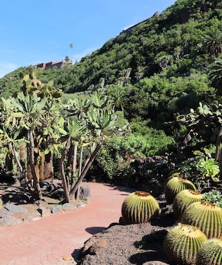 Jardín Botánico Canario