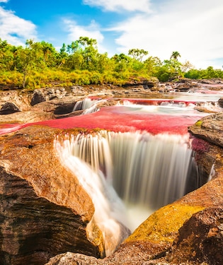 Caño Cristales