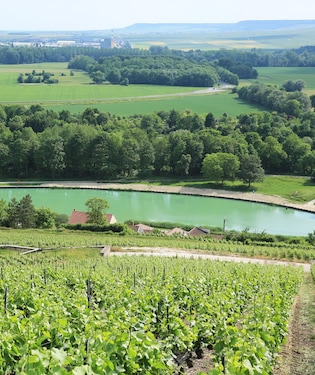 Parque Natural Regional de la Montagne de Reims