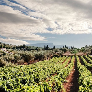 Nemea