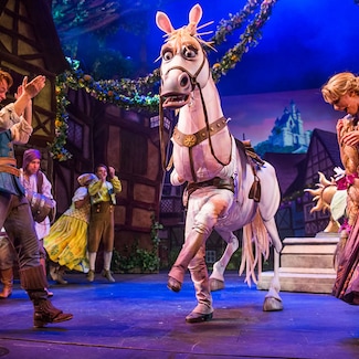 Rapunzel, el musical