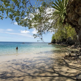 Caribe