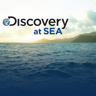 Discovery at Sea