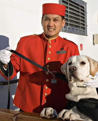 QM Servicio