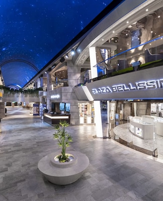 Imágen MSC Bellissima 44
