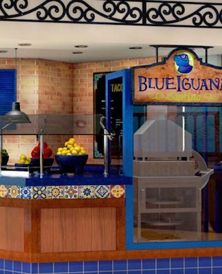 Restaurante Blue Iguana