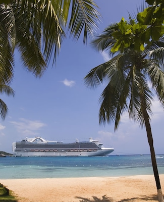Imágen Crown Princess 16