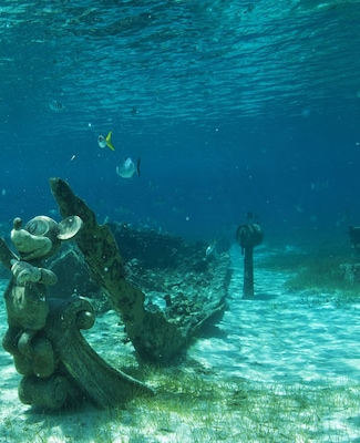 Buceo Disney en Castaway Cay