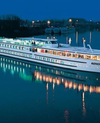 Imágen MS Renoir 1
