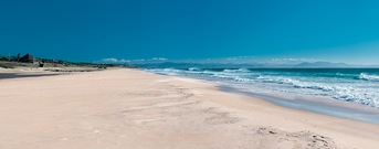 Barbate